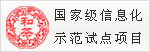 国家级信息化示范试点项目